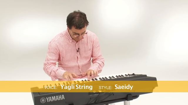 PSR-S650 Voice&Style Expansion