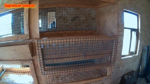 Клетка для перепелов (мой вариант)