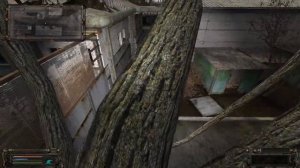 Тайник Котобегемота на Дикой территории ОП 2