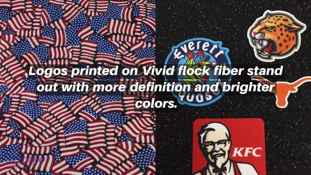 Vivid Digitally Printable Flock 1080p смотреть онлайн