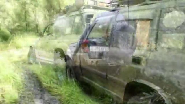 Таёжные тупицы