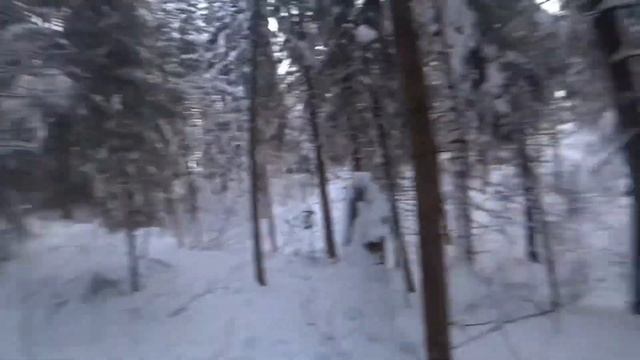 Удачная охота на зайца зимой! смотреть онлайн