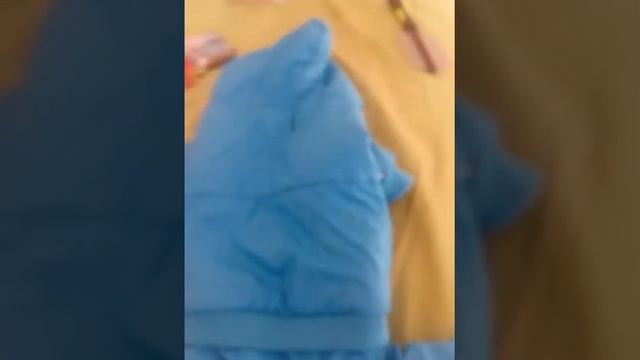 Что необходимо для йоркширского терьера часть 2 смотреть онлайн