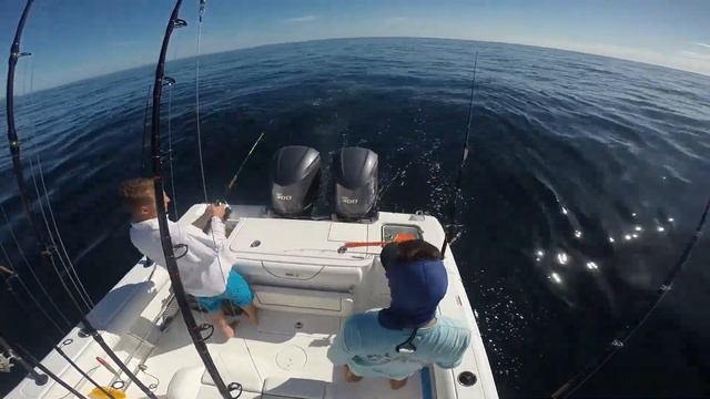 Fishing Palm Beach 9-14 смотреть онлайн