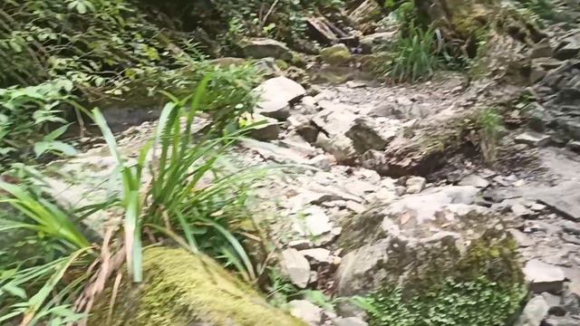 Путешествие в "Берендеево царство" Лазаревское, водопад "Борода Берендея" высота 27 метров. смотреть онлайн