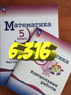 математика 5 класс номер 6.316