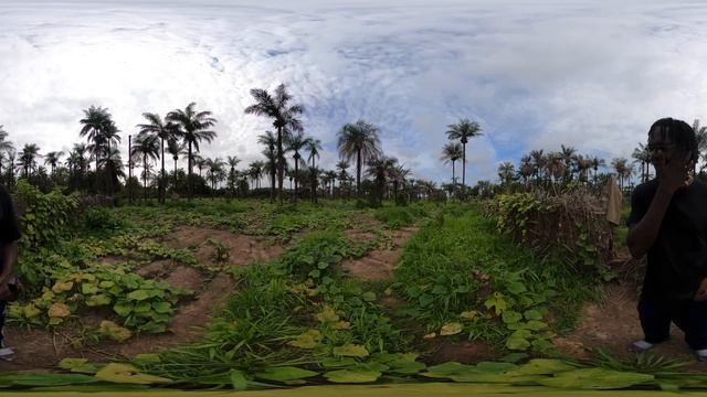 Heart Break On The Farm Africa #360 #vr #metaverse смотреть онлайн