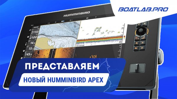 HUMMINBIRD APEX. Стоит ли переплачивать?