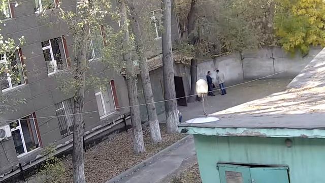 IP видеокамера 1.3Mp смотреть онлайн