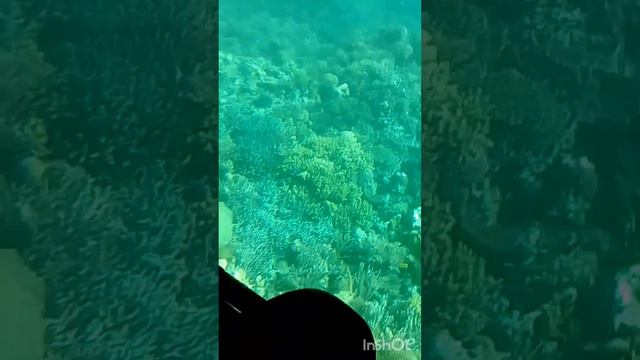 Красное море смотреть онлайн