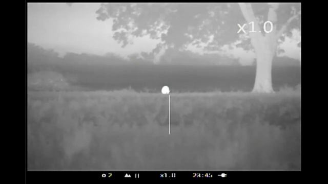 Pulsar APEX XD38A Hog Hunt смотреть онлайн