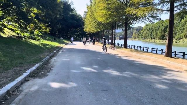 Монорельсы не для слабонервных/ Франция в Корее/ Смотровая площадка Кванджу смотреть онлайн