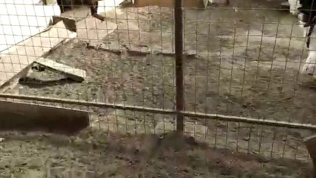 Брама светлая смотреть онлайн
