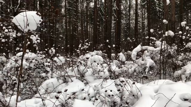 Мужа застал врасплох конкурс на корпоративе жены, но узнал он о нем слишком поздно. Измена жены смотреть онлайн