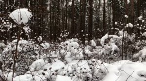 Мужа застал врасплох конкурс на корпоративе жены, но узнал он о нем слишком поздно. Измена жены