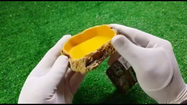 Кормушка поилка Repti Zoo смотреть онлайн