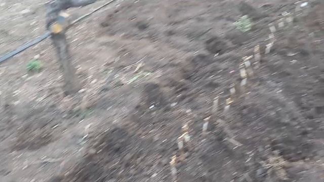 15.04.2023 год высадил в школку привитые черенки винограда смотреть онлайн