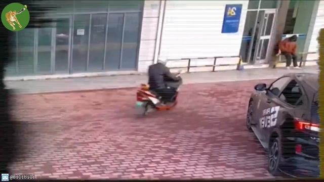Best Of Hero Animals that saved Human Life #1 смотреть онлайн