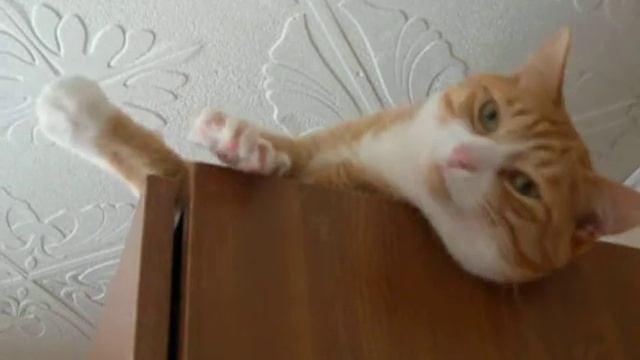 Иосиф не желает чистить уши:) смотреть онлайн