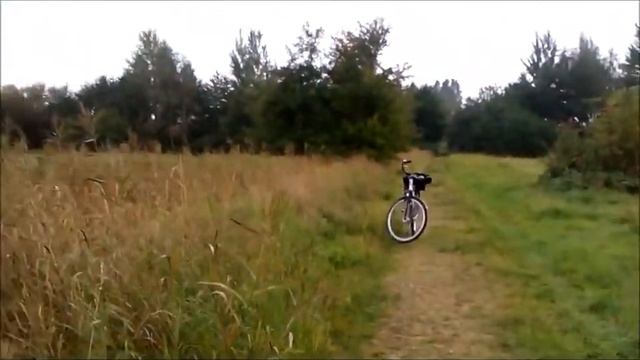 Осень, прозрачное утро смотреть онлайн
