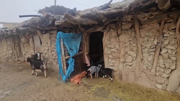 Winter Wonders: Nomadic Family Life in the Enchanting Wilderness