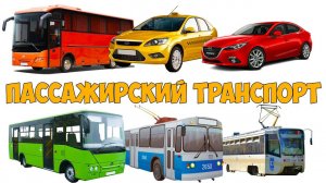 Пассажирский и Городской транспорт. Машинка и её НАЗВАНИЕ - обучающее видео от Рыжего Ёжика