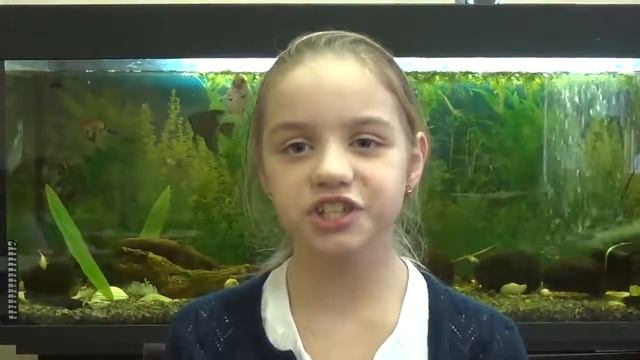 Иван Андреевич Крылов «Волк на псарне» смотреть онлайн