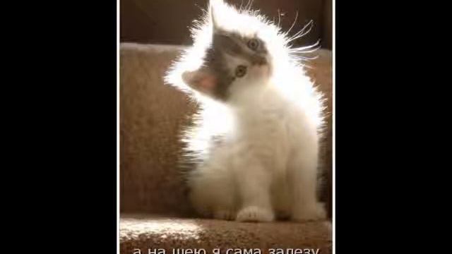 смотрим и умиляемся!.wmv смотреть онлайн