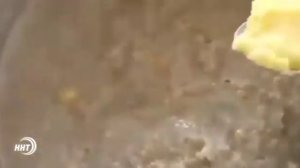 Арабская каша Тальбина