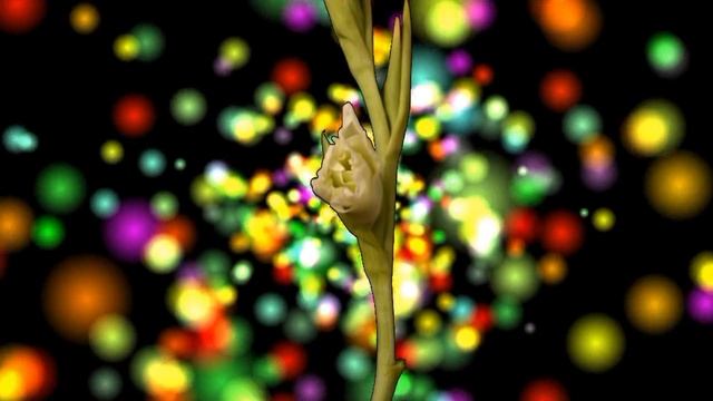 Поздравляем Веронику с днём рождения - Видео Открытка смотреть онлайн