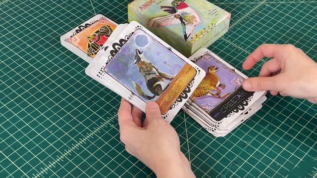 Check out these Tarot and Oracle Decks | Chat and Flip Through смотреть онлайн