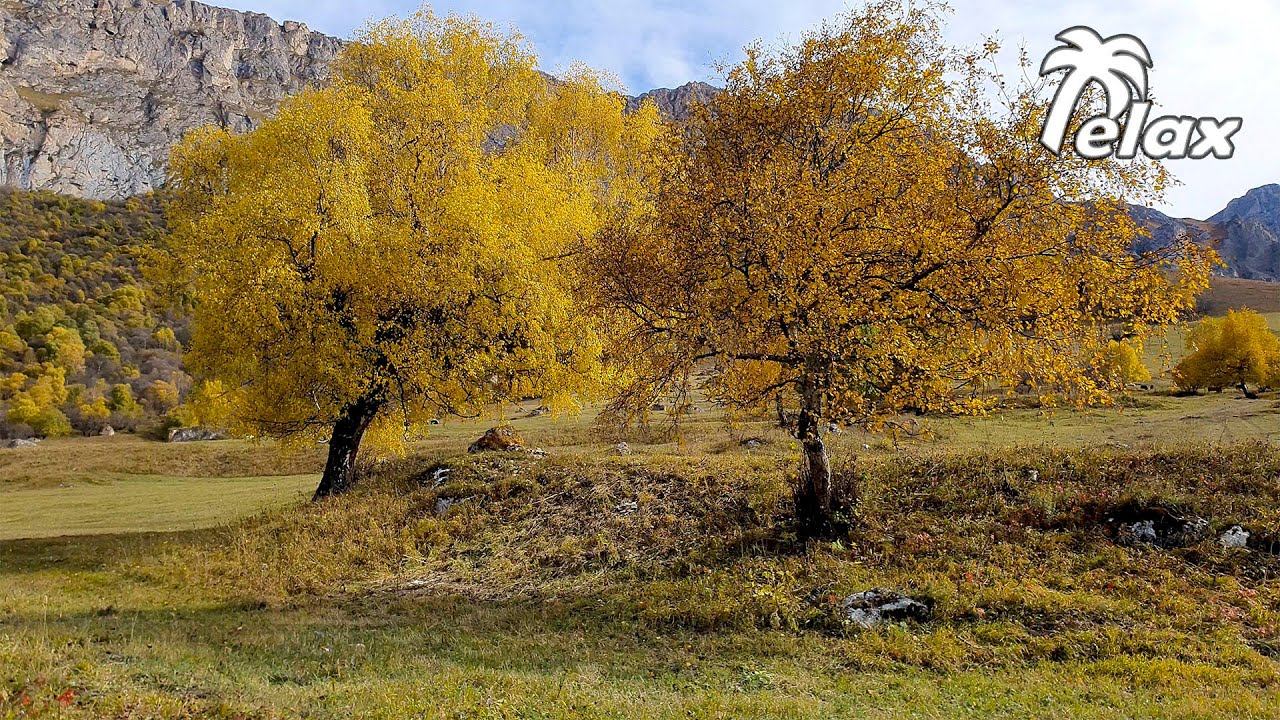 Autumn landscapes and the Sound of Wind In the mountains of the North Caucasus смотреть онлайн