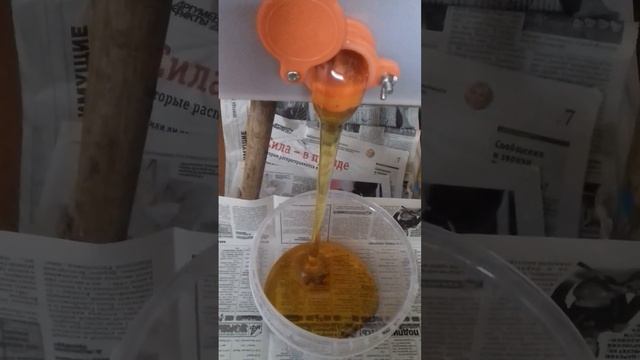 Самый дорогой мёд! most expensive honey#Shorts смотреть онлайн