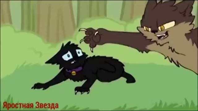 Коты - Воители Бич - Монстр ( Заказ ) смотреть онлайн