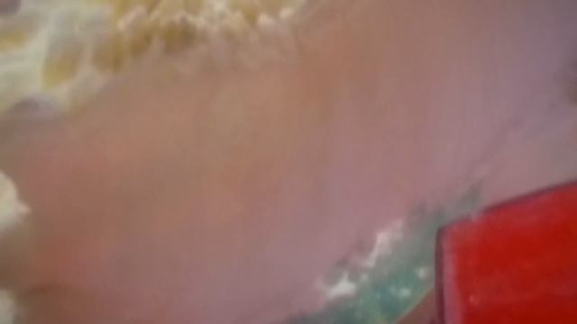 "Хризантема", луковые кольца и кабачки в кляре. смотреть онлайн