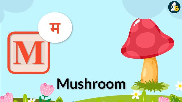 50 Words Start With M | Phonics Letter M | Letter M Vocabulary | Kids Video | Kids Grade