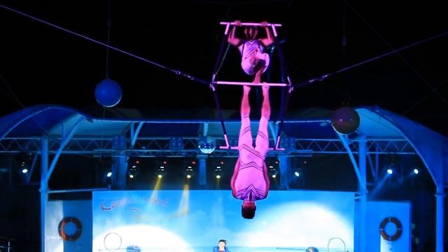1 часть Созвездие дельфина! ночное шоу Коктебельского дельфинария 2012год смотреть онлайн