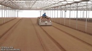 Сеялка для руколы, шпината, овощная сеялка для салатных культур, мелких семян