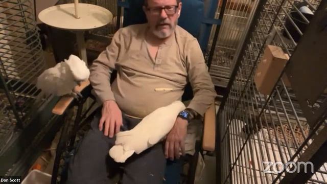 2022/12/12 Livestream | The Chloe Sanctuary for Parrots and Cockatoos | Inside Due to Bad Weather смотреть онлайн