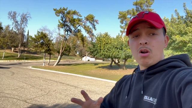 IS THE 5.0 COYOTE ENGINE THE BEST MUSTANG PLATFORM? | PAXTON Supercharged Mustang 700+ HP смотреть онлайн