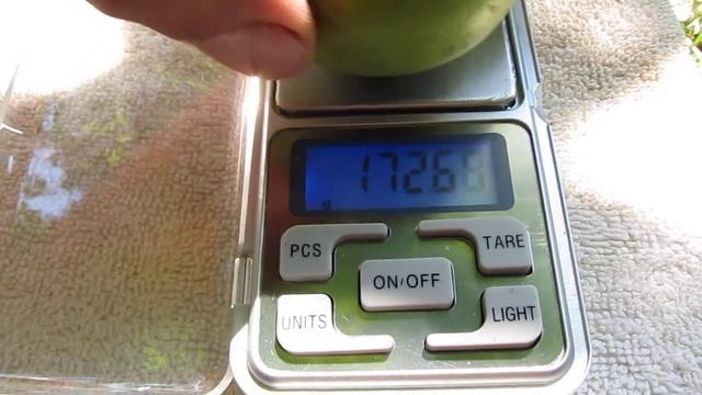 Груша Красивая смотреть онлайн