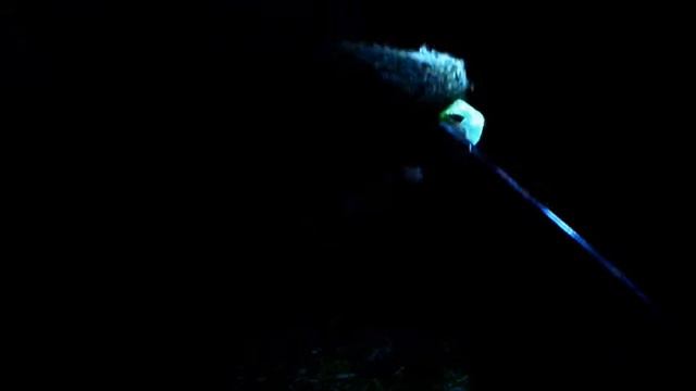 РЫБАЛКА КЛЯЗЬМА ШНУР ЗА 1500р. смотреть онлайн