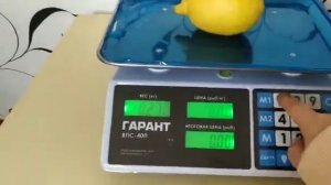 Весы торговые Гарант ВПС40П