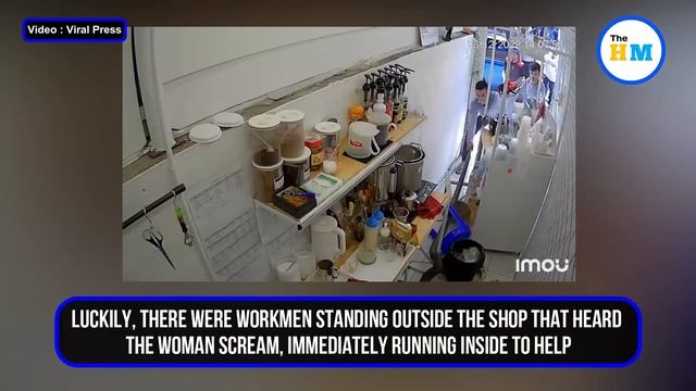 Man wrestles with massive python, drags it by tail to save the coffee shop waitress | Viral Video смотреть онлайн
