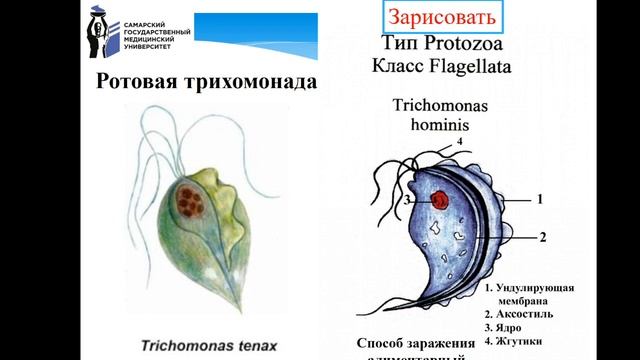 1 практич эиос смотреть онлайн