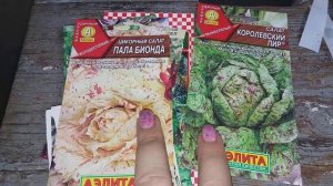 Сажу на рассаду полезные травы и горечи . Цикорные салаты .