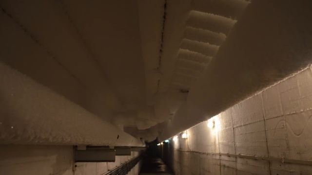 Vorstellung Indoo Eisarena in Planten Un Blomen смотреть онлайн