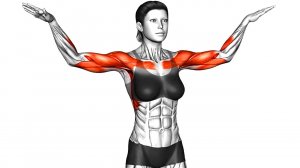 Лучшие Упражнения на Подвижность (следуйте им)