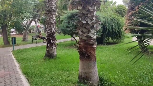 Антальякарт и Хеш код???Меняю доллары на турк.лиры в Мигросе?Пополнила карту для автобуса?Кож.обувь смотреть онлайн
