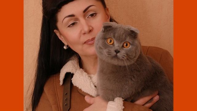 ДЕНЬ РОЖДЕНИЯ КОТА смотреть онлайн